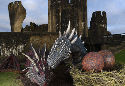 Dare to meet Dwynwen