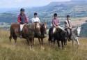 Trans Wales Trails