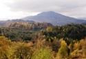 Gwydr Forest Park