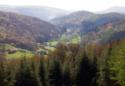 Wye Valley