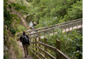 Miners Bridge at Maenarthur Woods