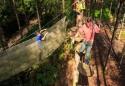 Go Ape Adventure