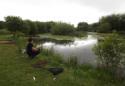 marsh water ponds