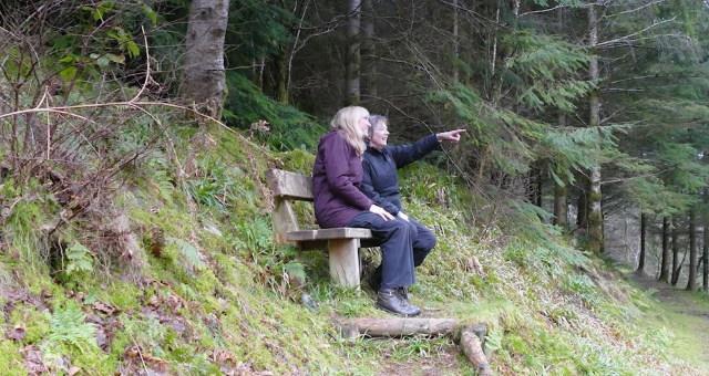Grogwynion Riverside Walks & Picnic Site Grogwynion Riverside Walks & Picnic Site