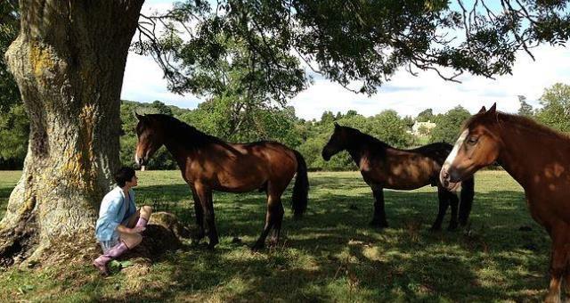 HopeThruHorses HopeThruHorses