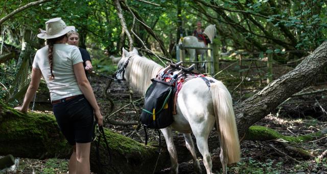 Hooftrek Hooftrek