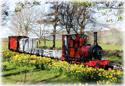 Narrow Gauge Railway Museum
