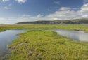 Borth Walk