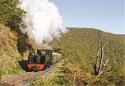 Vale of Rheidol Railway