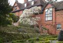 Hergest Croft Gardens