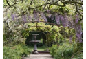 Glansevern Hall Gardens