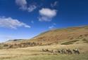 Tregoyd Mountain Riders