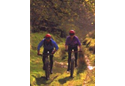 Mynydd Trawsnant - Off-Road Loop