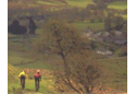 Irfon Forest Off-Road Circuit