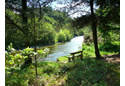 Bench overlooking the River Ystwyth