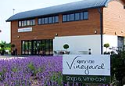 Kerry Vale Vineyard