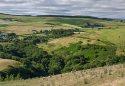 Tal-y-bont Walk