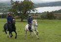 Wales Trekking and Riding Association