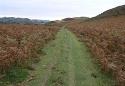 Glyndwrs Way