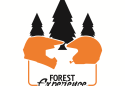 The Forest Experience Rally School