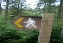 Ystwyth Trail