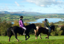 Llangorse Riding Centre