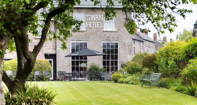 Swan at Hay Swan at Hay