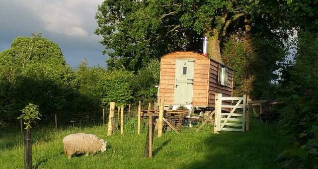 Shepherd's Hut Shepherd's Hut