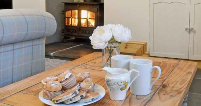 Maesyfelin Cottage Maesyfelin Cottage