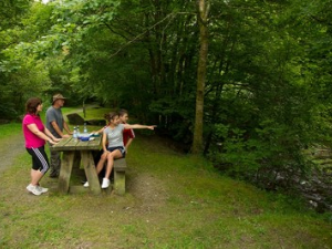 Family picnicing at Pont Llogel Dyfnant Forest.