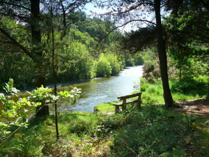 Bench overlooking the River Ystwyth
