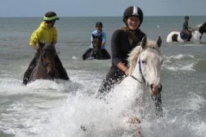 Wales Trekking and Riding Association