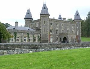Dinefwr Castle and Park ( Newtown House)