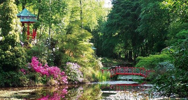 Portmeirion Village Gardens At Portmeirion Village Garden