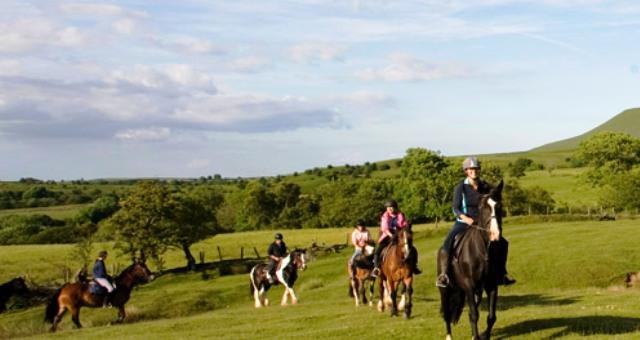 Wales Trekking & Riding Association
