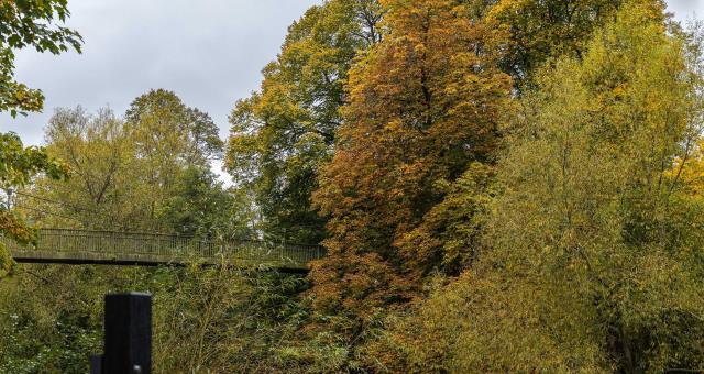 Dolerw Park - Autumn Colours