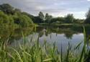Severn Farm Pond