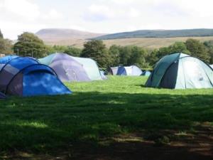 Some tent pitches